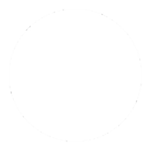 Google Play Store